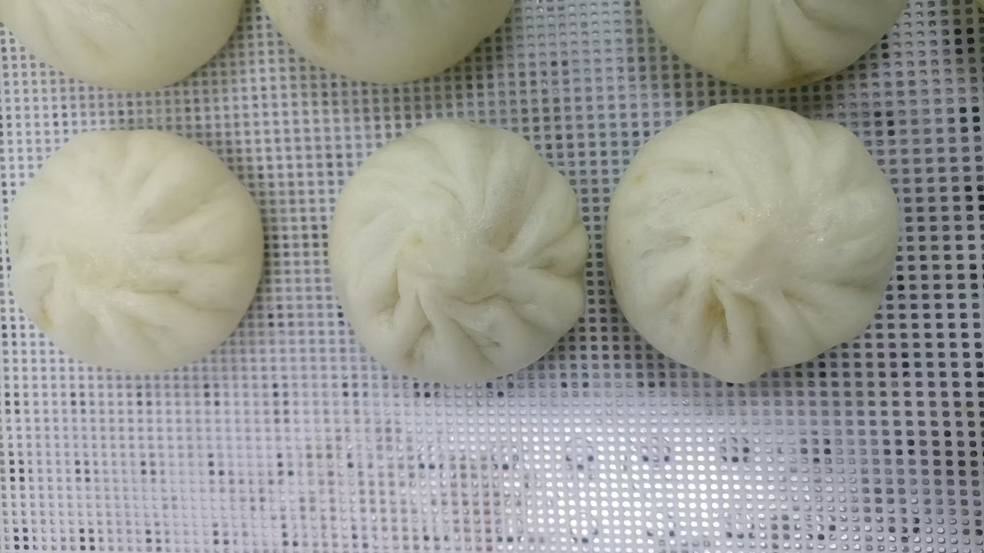 上新——純手工老面小籠包